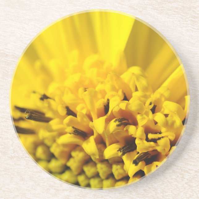 Gul blomma underlägg sandsten (Framsidan)
