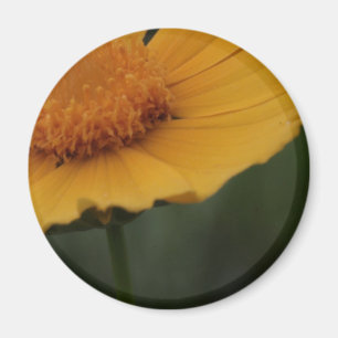 gul blommamagnet magnet