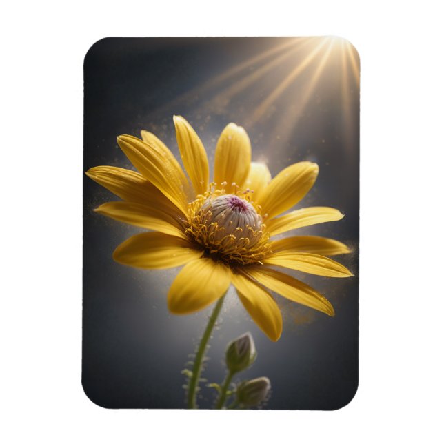 Gul blomning – Makrofotografering av gula blommor Magnet (Vertikal)