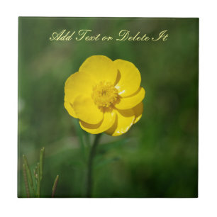 Gul Buttercup Kakelplatta
