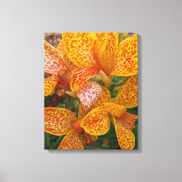 Gul Canna Lily med röda fläckar Blomma Canvastryck