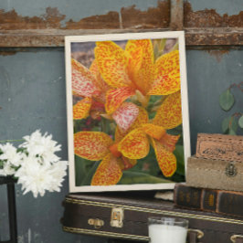 Gul Canna Lily med röda fläckar Blomma Fototryck