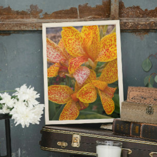 Gul Canna Lily med röda fläckar Blomma Fototryck