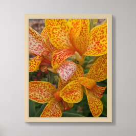 Gul Canna Lily med röda fläckar Blomma Poster