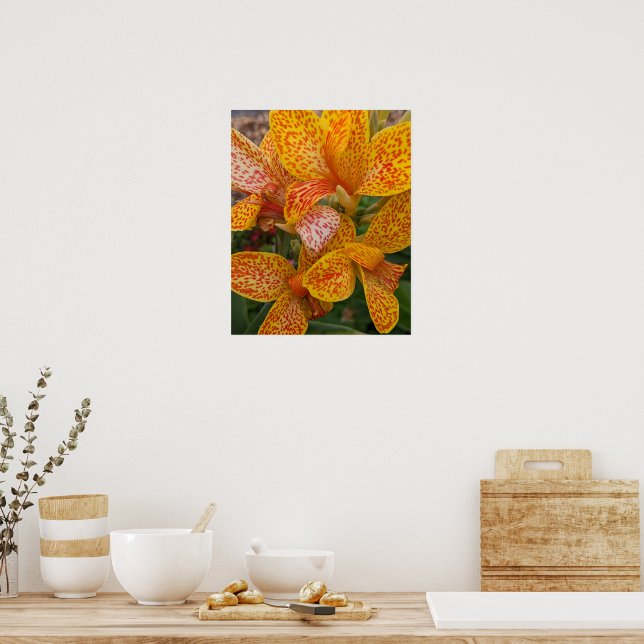 Gul Canna Lily med röda fläckar Blomma Poster (Kök)