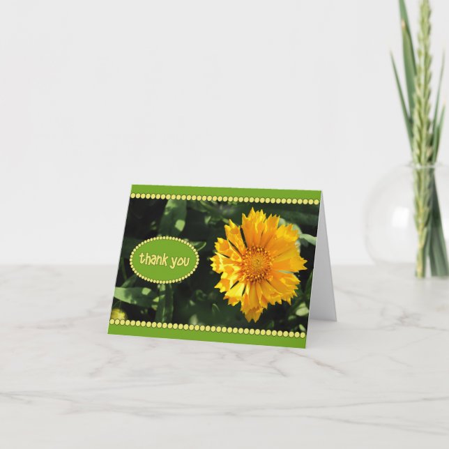 Gul Coreopsis Blomma Tack Kort (Framsida)