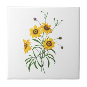 Gul Coreopsis Elegans av Pierre Joseph Redoute Kakelplatta