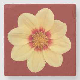 Gul Dahlia på tegelröd blomma Stenunderlägg