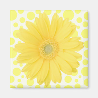 Gul Daisy-magnet Magnet