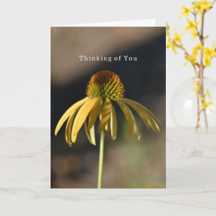 Gul Echinacea Födelsedag (fotografering av mig) Kort