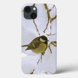Gul fågelvinteriPhone 6/6s, tuffa Xtreme