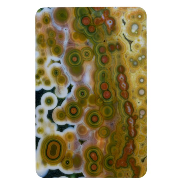 Gul färgad Ocean Jasper Magnet (Vertikal)