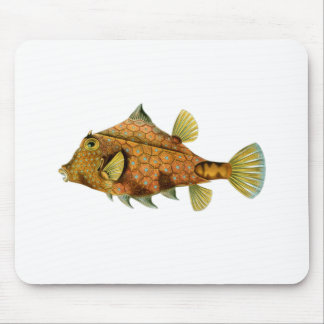 Gul fisk musmatta