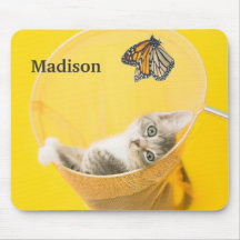 Gul fjäril och kattunge som fångas i netto