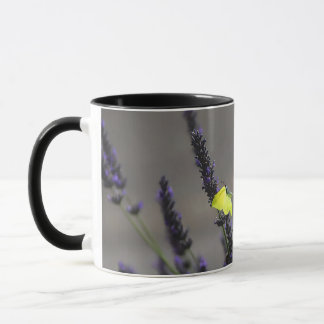Gul fjäril på lila lavendel Makrofoto Mugg