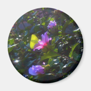 Gul fjäril på rosa ros av Sharon Magnet