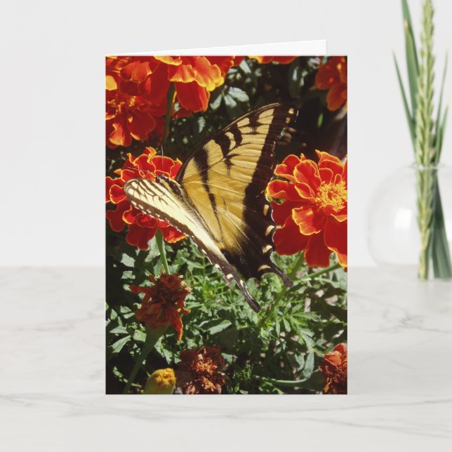 "Gul Fjäril" Påskkort Kort (Framsida)