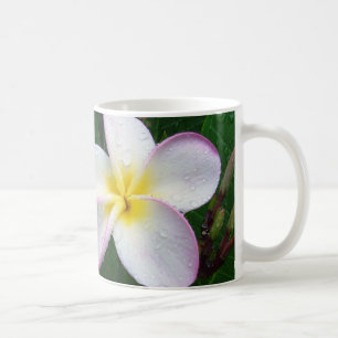 Gul för Plumeriablomma för vit & för lilor Kaffemugg