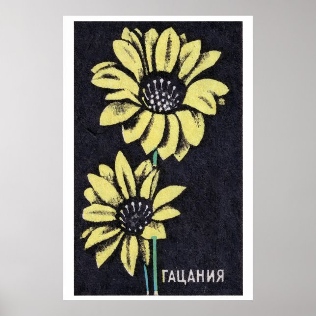 Gul Gazania - Tändsticksasktryck - Estetisk Vägg Poster (Framsidan)