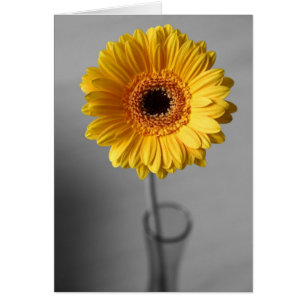 Gul Gerbera för sol Hälsningskort