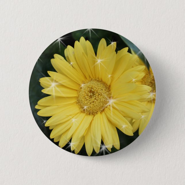 gul gerbera tusenskönsblomma med stjärnor knapp (Framsida)