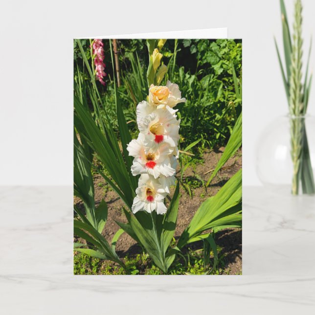Gul gladiolus i min trädgård kort (Framsida)