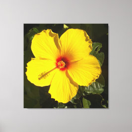 Gul Hibiskus Blomma Canvastryck