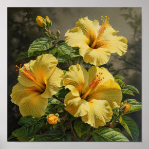Gul Hibiskus Blomma Konsttryck Poster