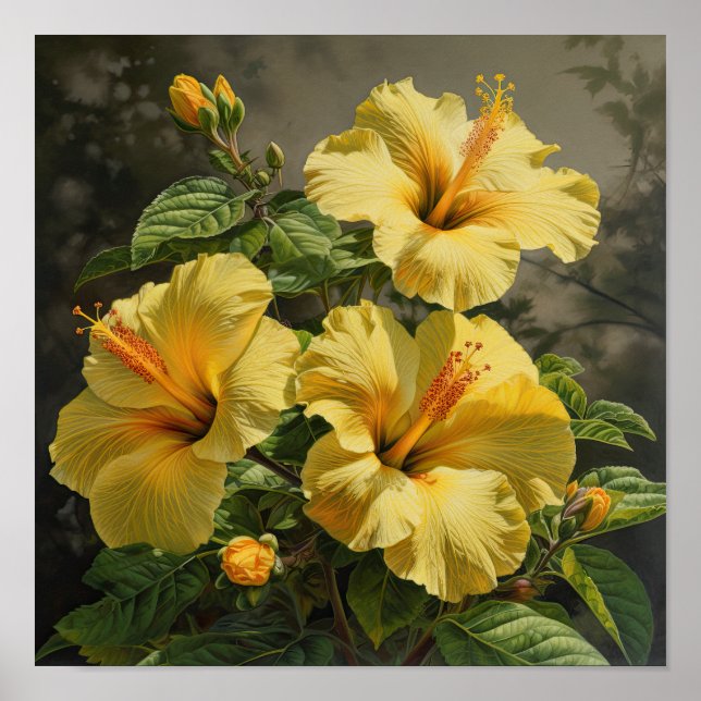 Gul Hibiskus Blomma Konsttryck Poster (Framsidan)