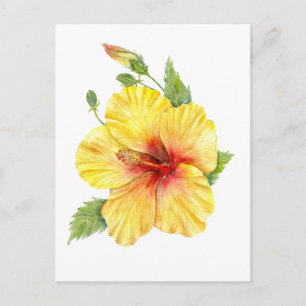 Gul Hibiskus Botanisk Konst Vykort