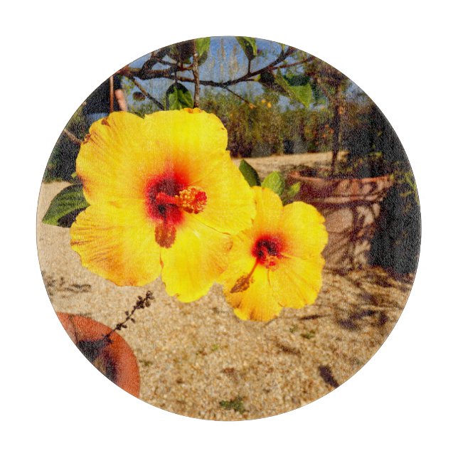 Gul Hibiskus Glas Skärbräda (Framsidan)