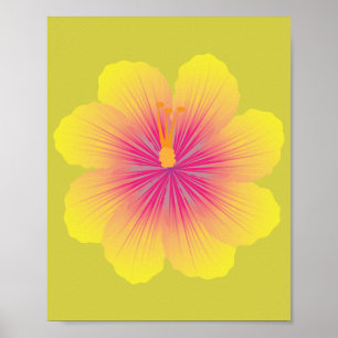 Gul Hibiskus_Illustration Poster