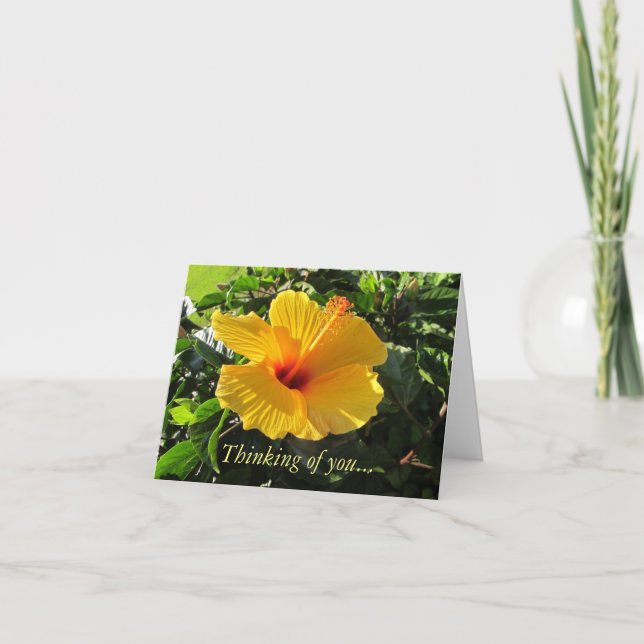 Gul Hibiskus Tropiskt Tänker på dig-kort Kort (Framsida)