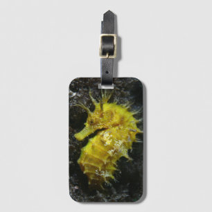 Gul Hippocampus Guttulatus för Seahorse Bagagebricka