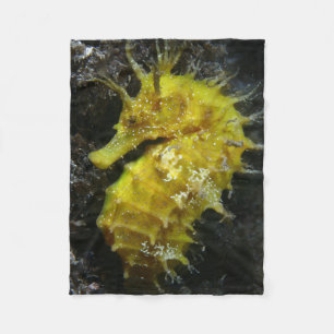 Gul Hippocampus Guttulatus för Seahorse Fleecefilt