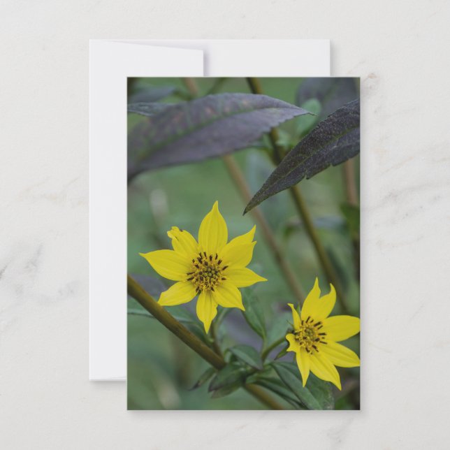 Gul höstblomma anteckningskort (Framsida)