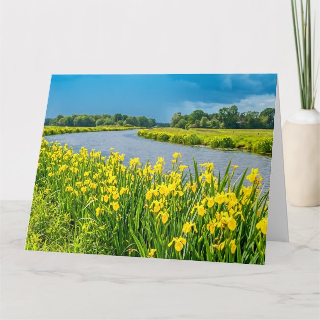 Gul iris inspirerar symbolen Fleur de Lis. Kort (Framsida)