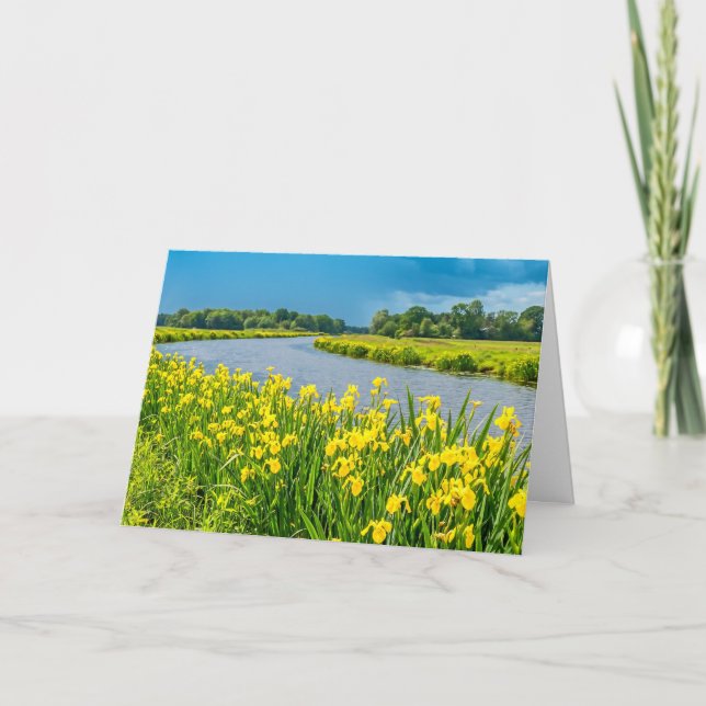 Gul Iris inspirerar symbolen Fleur de Lis. Kort (Framsida)