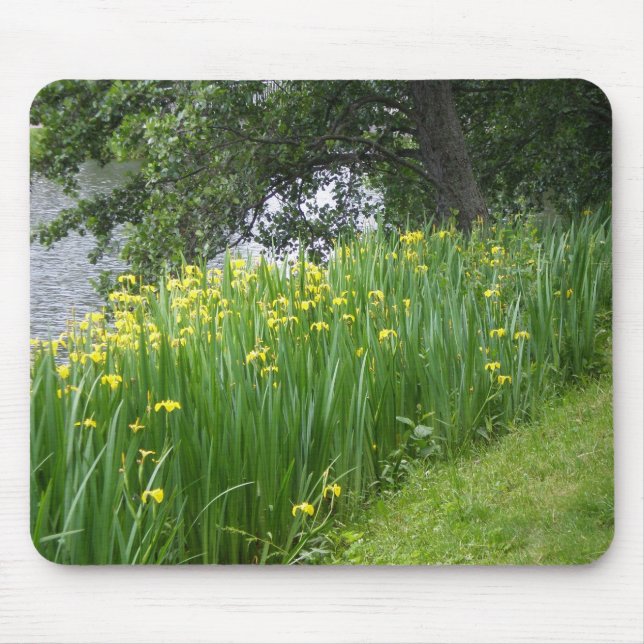 Gul Iris Mousepad Musmatta (Framsidan)