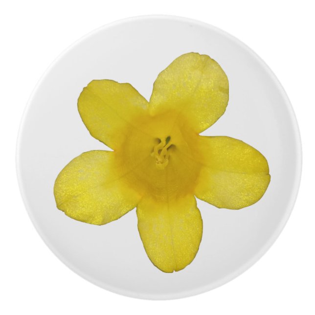 Gul Jasmin Knopp (Framsidan)
