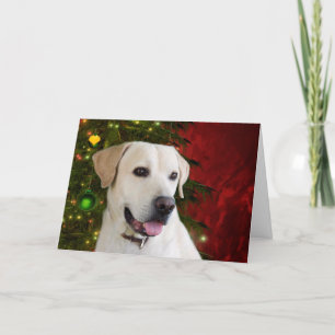 Gul jul för labrador retriever helgkort