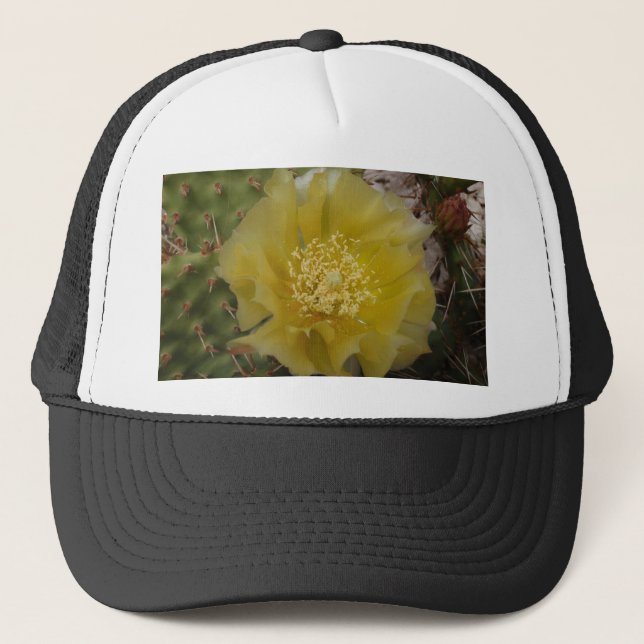 Gul kaktus i blomning keps (Framsida)