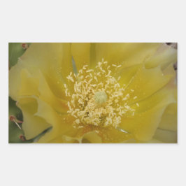 Gul kaktus i blomning rektangulärt klistermärke