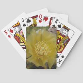 Gul kaktus i blomning spel kort