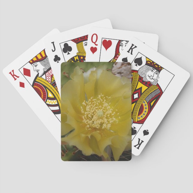 Gul kaktus i blomning spel kort (Baksidan)