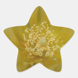 Gul kaktus i blomning stjärnformat klistermärke