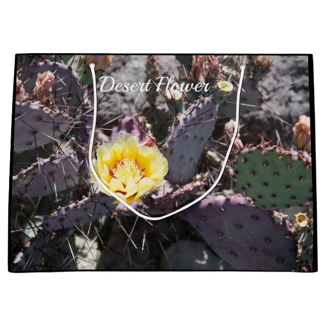 Gul kaktusblomma på våren (Framsidan)
