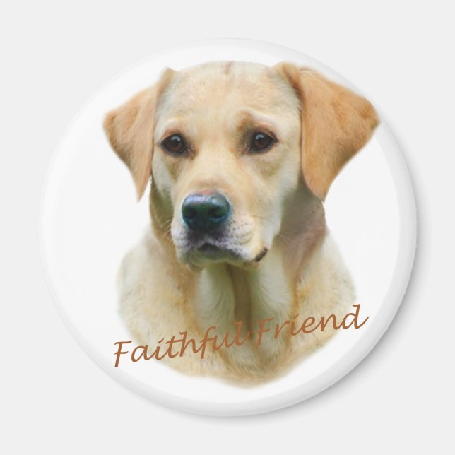 Gul lab Faithful Friend Magnet (Framsidan)