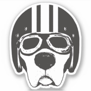 Gul lab Hund i Helmet & Goggles Vinyl Sticker Klistermärken