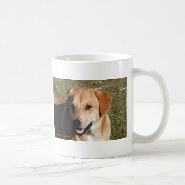 Gul lab hund kaffemugg (Höger)